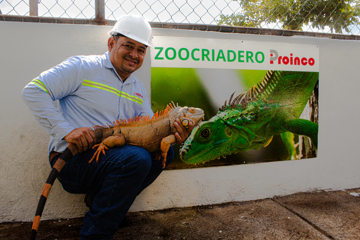 Descripción 1
