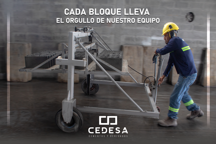CED-1